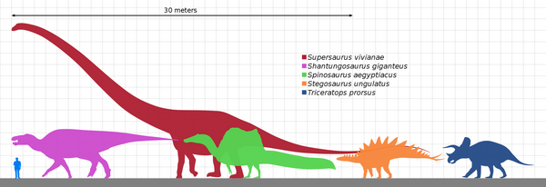 Steinzeit Dinosaurier Dinosaurier und Mensch