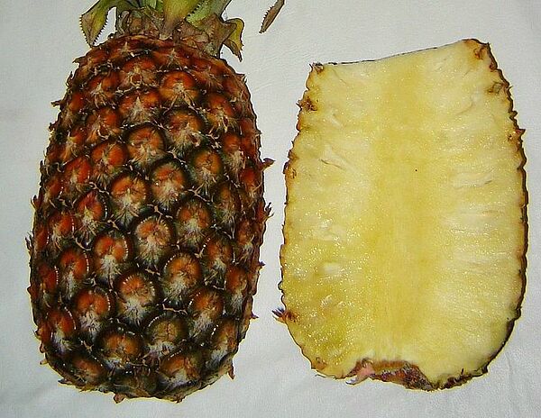 Aufgeschnittene Ananas