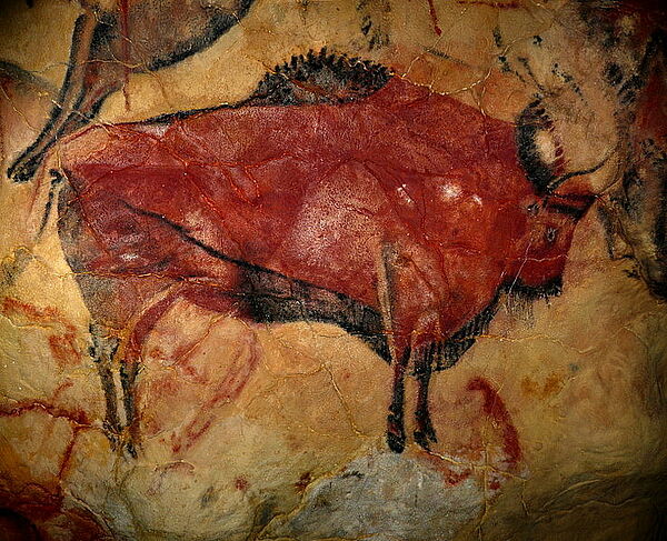Höhlenmalereien Altamira Bison