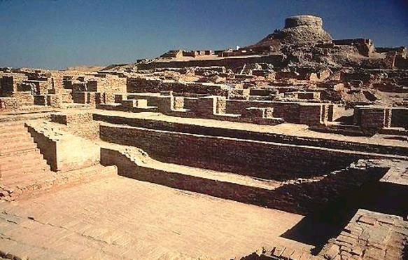 Induskultur