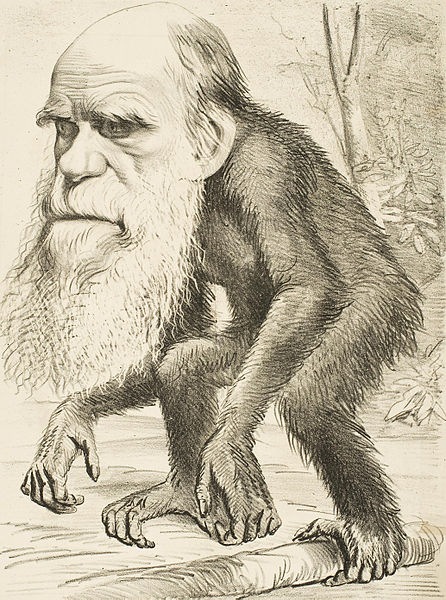 Karikatur von Darwin