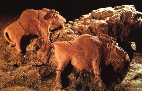 Lehm-Bisons aus der Volp-Höhle
