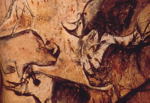 Höhlenmalerei Chauvet-Höhle